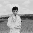 5c8b6fee3b000054066d9547