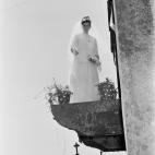 5c8b6ff02500001304caa990