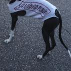 5c8ade9f2300005300e75114