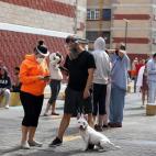 Ciudadanos salen a la calle tras el terremoto de más de 7 grados en la Escala Richter al sur de México
