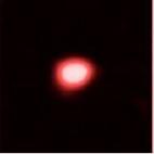 5c8af07c20000045046ffc35