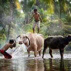 Imagen de unos niños en el río Palias de Rumpin, al oeste de Java, Indonesia, en abril de 2013.