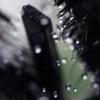 Camboya es un país que cree en Dios, muchas historias hablan sobre Dios en los muros de templos de Siem Reap. Casi el 60% de la población se dedica al campo. En la vida diaria, la gente necesita agua para el arroz, pero el 50% no tiene acceso ...