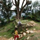 5c8b82112300005400e85f1c