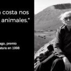 5c8b1aa12500000704ca0bd4