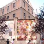 5c8b232422000031001a608b