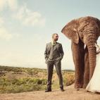 Credit: Amanda Kopp Images