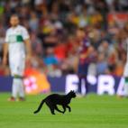 5c8b82652400006d054da929