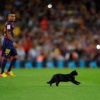 5c8b8265360000c81a6d42a5