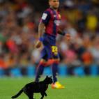 5c8b826522000031001b1655