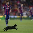 5c8b82663b000070066dc294