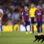 5c8b8266360000ba1a6d42a7