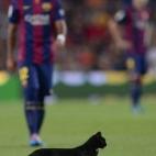 5c8b8267240000f7054da92f