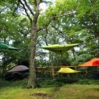 5c8a96793b000072066c2801