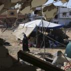 5c8b199623000004012419cd