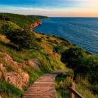 Esta exclusiva isla danesa, con una extensión de casi 600 kilómetros cuadrados ubicados al norte de Polonia y sur de Suecia, es producto de una actividad volcánica de hace más de 1700 millones de años. Tiene un microclima cálido (nada que ...