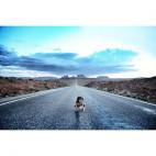 “Esse cara é um puto doente. Por que você faria isso com sua criança? Parabéns, Wyatt Neumann. Pobrezinha...” – Ships Go Overboard aka It Burns, 26 de abril de 2014, 18h23