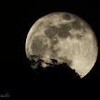 5c8a973b36000006186ba8df