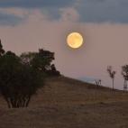 5c8a973b360000ba1a6ba8e1