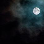 5c8a973b24000093024c09ff