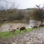 e42a3299a8fbf50d2d3dc3c30d79e8631f4665b6w