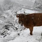 28f5e416119d5086bd276a1fea79667c7b2c369ew