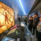 Museo Nacional y Centro de Investigación de Altamira (Santillana del Mar).