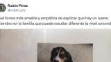 El cartel publicado por Rubén Pérez sobre la llegada de una mascota.