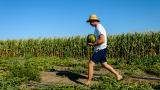 Un agricultor cogiendo una sandía