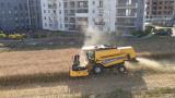 Agricultor cosechando un campo de cereal rodeado de edificios y calles asfaltadas en un entorno urbano.