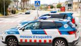 Imagen de archivo de varios vehículos de los Mossos d'Esquadra.