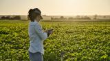 Una mujer agricultora trabajando