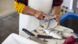 Una persona trabajando en una pescadería