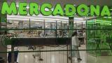 Un supermercado de Mercadona en Manacor.