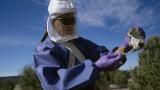 Un brote de hantavirus