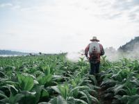 Hombre rociando pesticida.