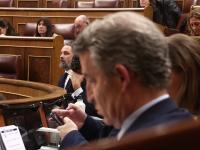 Feijóo y Abascal, en el Congreso