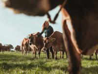 Mujer ganadera junto a sus vacas