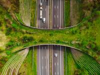 puente-verde-reino-unido