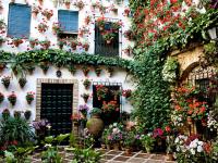 Cordoba. Courtyard