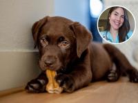 María VetiCan y un cachorro con un hueso