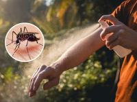 mosquitos-para-combatir-mosquitos