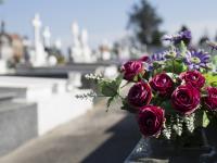 Un cementerio en Oviedo. Asturias.