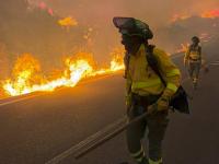 Varios bomberos trabajando en el incendio de Los Gallardos.