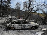 Varios vehículos calcinados junto al restaurante Anita en Los Gallardos, Almería donde parece ser se produjo el inicio del incendio.