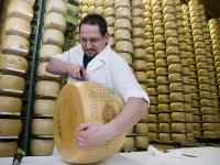 Ansiedad por el queso en Italia: "No queremos ser la última generación en comer parmesano"