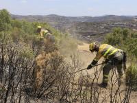 El operativo desplegado en el incendio forestal de Orés (Zaragoza)