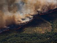 Incendio en Burgohondo (Ávila)