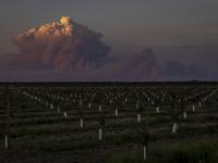 Un pirocumulonimbus nacido de las plumas de fuego de los incendios forestales de Australia en 2024