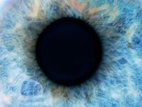 Detalle de un ojo humano